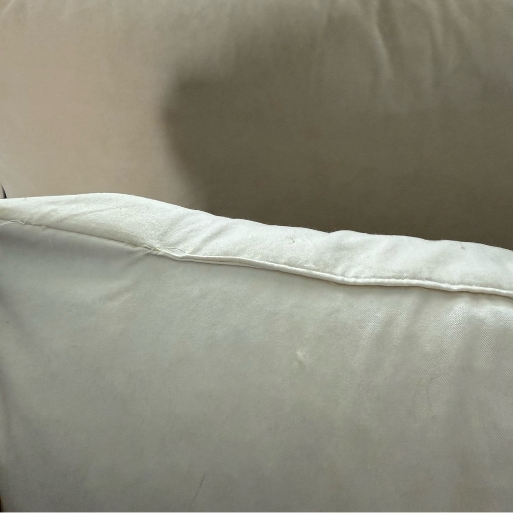 Pottery Barn down insert - Picture 2 of 3